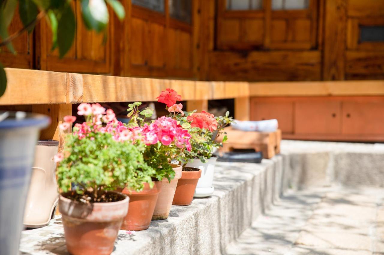 Dongmyo Hanok Sihwadang - Private Korean Style House In The City Center With A Beautiful Garden 首爾 外观 照片